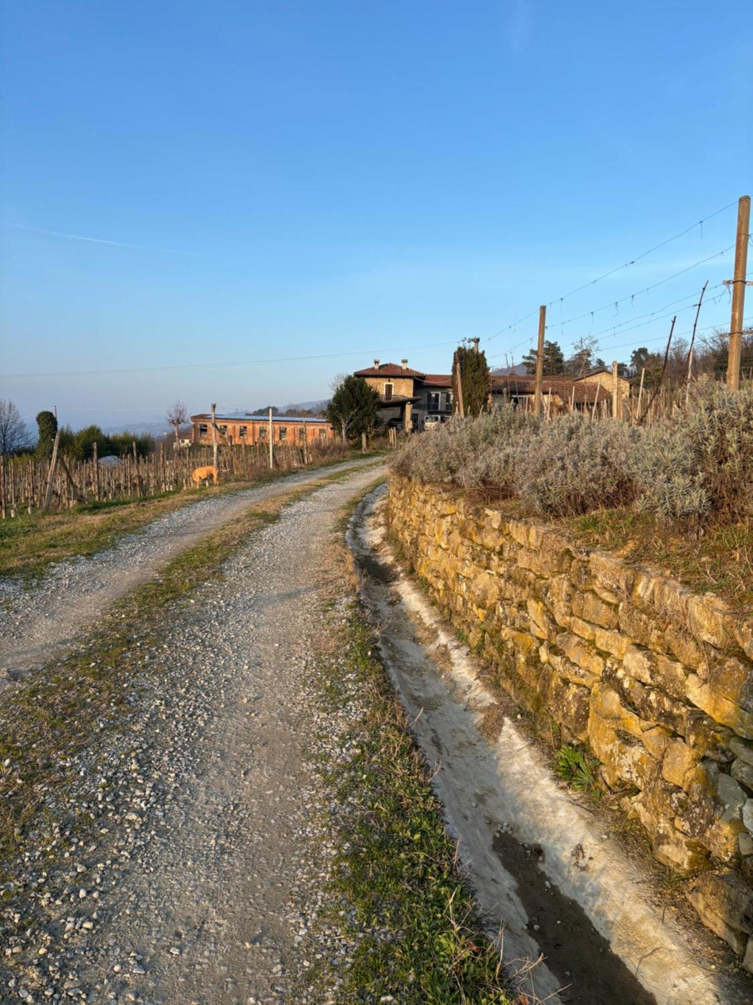 Agriturismo Tenuta San Giuseppe Cossano Belbo ภายนอก รูปภาพ