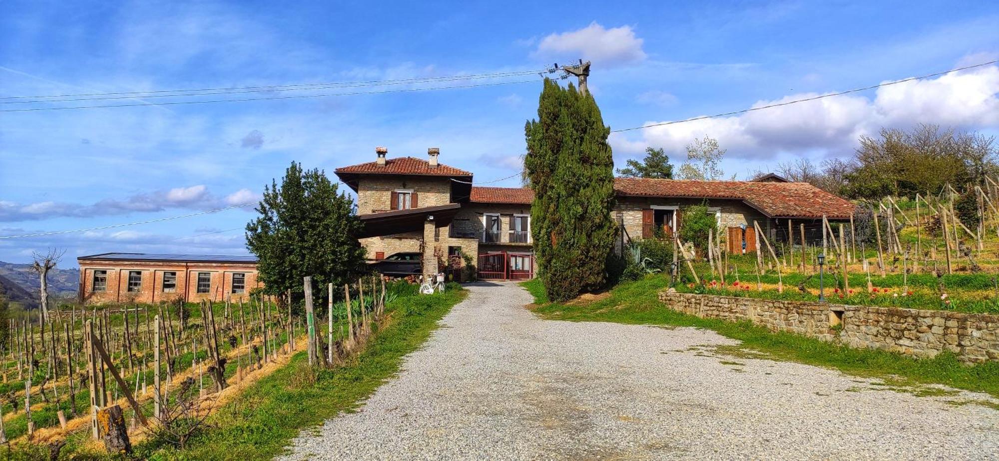 Agriturismo Tenuta San Giuseppe Cossano Belbo ภายนอก รูปภาพ