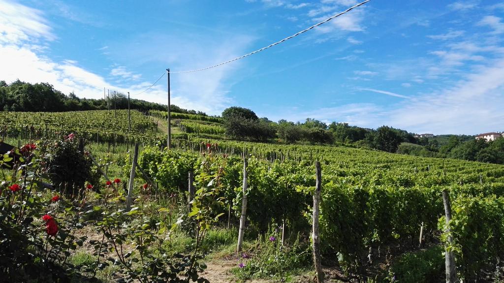 Agriturismo Tenuta San Giuseppe Cossano Belbo ภายนอก รูปภาพ